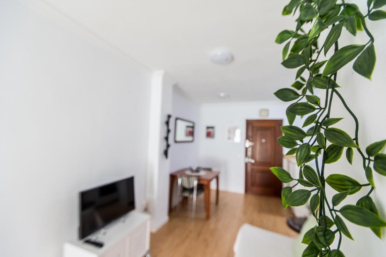 Loft Del Pintor Apartment *